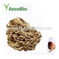 Natural Maitake Mushroom Extract, High quality Maitake Mushroom Extract powder